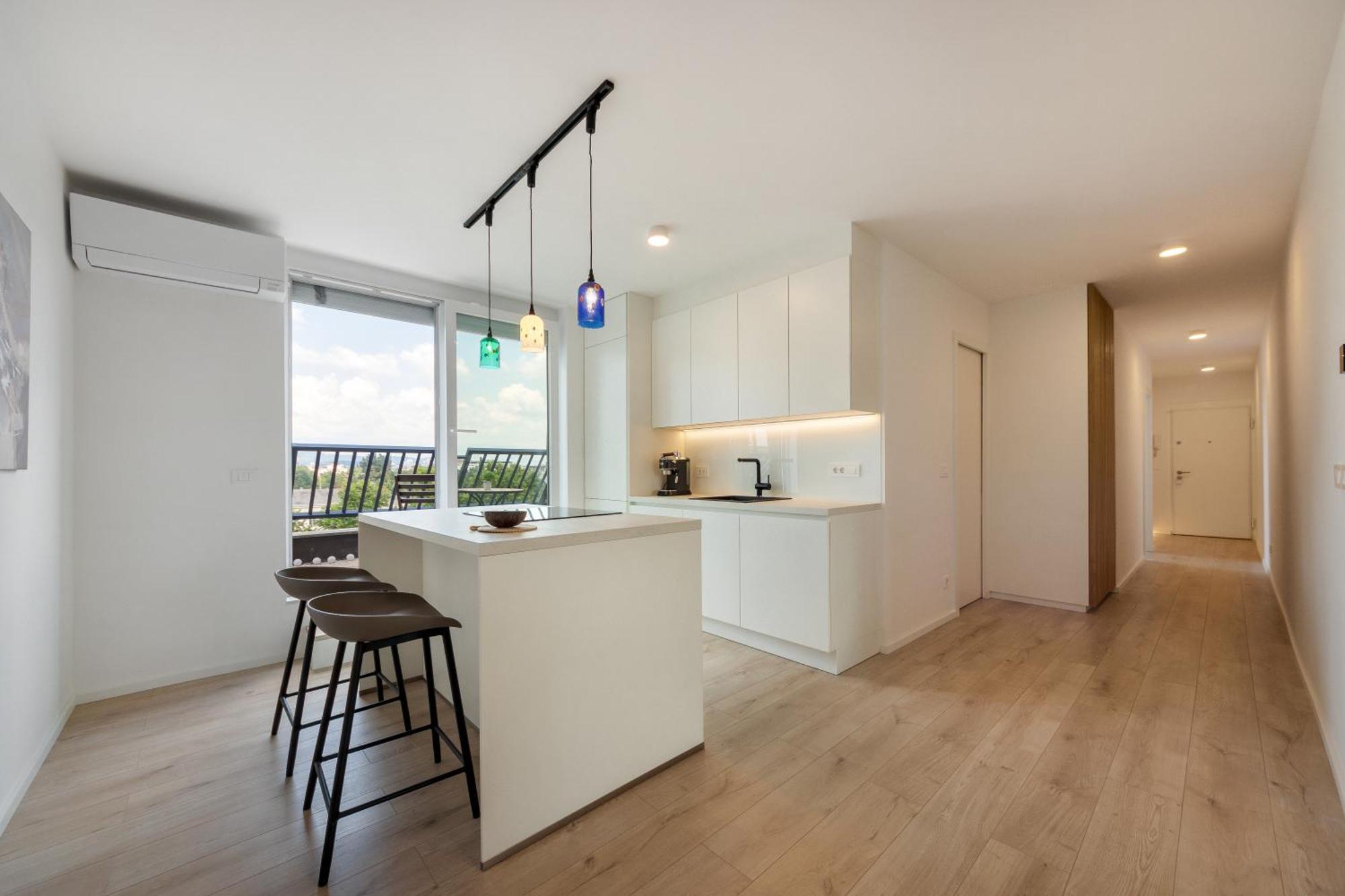 Luxe Penthouse With A Castle View Apartment Laibach